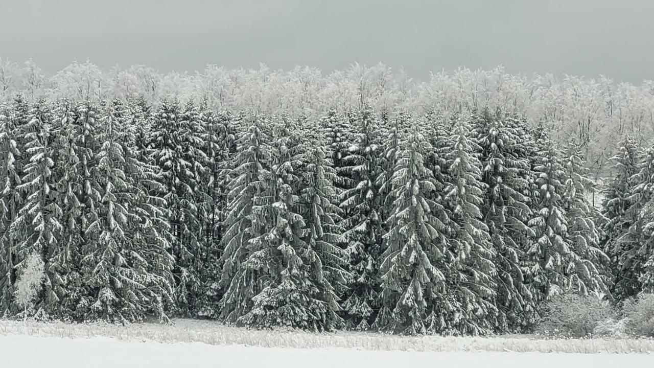 Ferienhaus Kirschbluete มอนเชา ภายนอก รูปภาพ